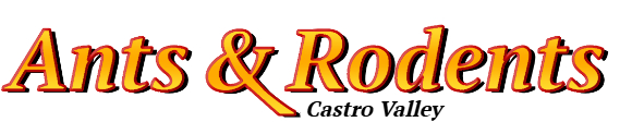 Castro Valley Ant Exterminator & Rodent Control Company Logo